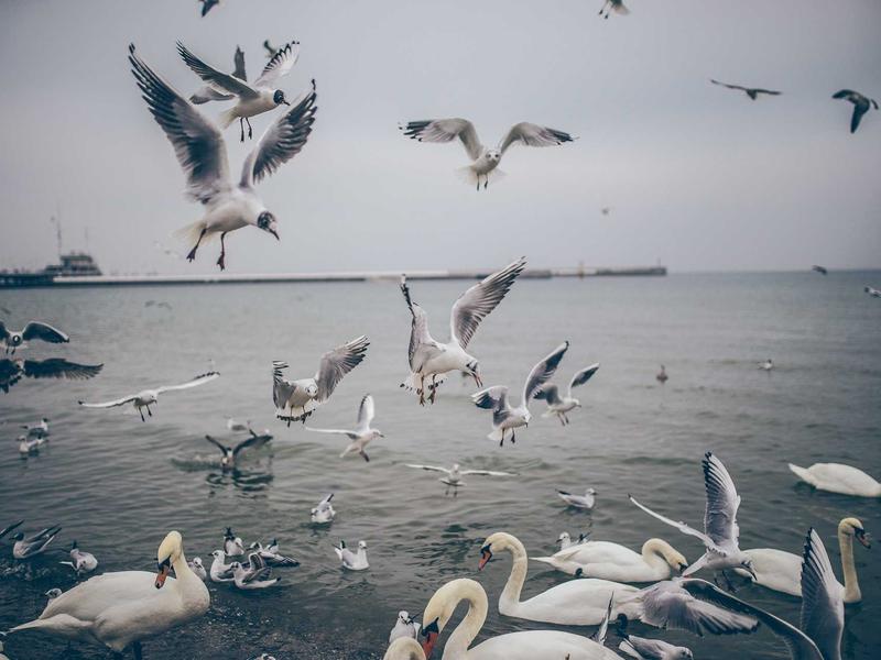 sudoku error checking screenshot 4